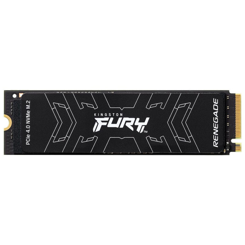 Kingston Fury Renegade SSD - 500 Go
